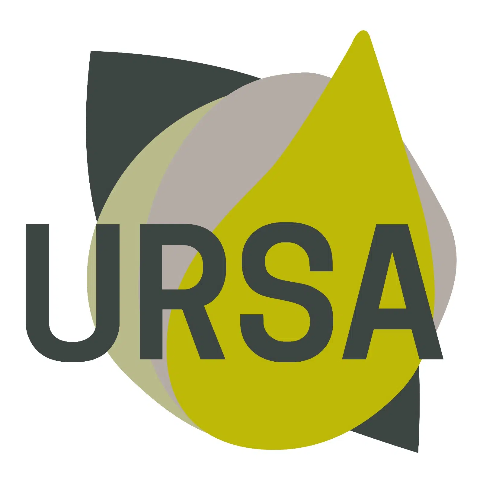 Grupo-Ursa